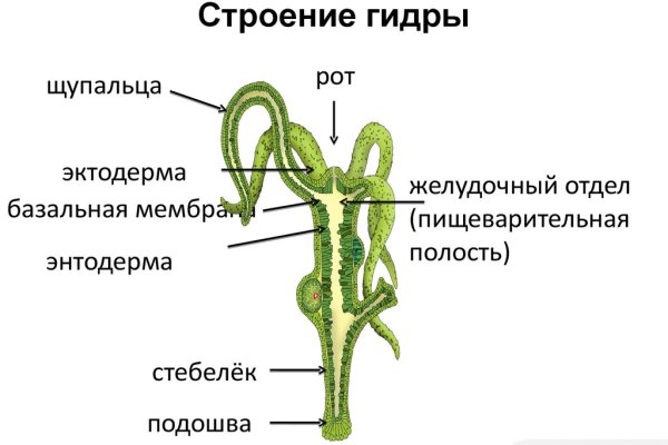 Кракен новый сайт