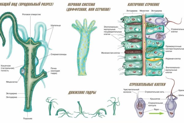 Магазин kraken даркнет