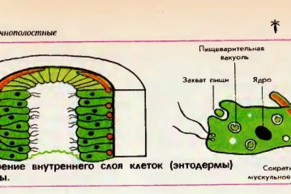 Пользователь не найден кракен что делать