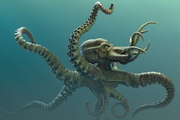 Kraken at зеркало