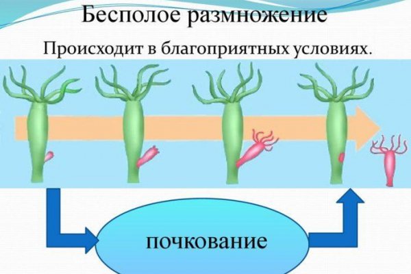 Ссылки на даркмаркеты