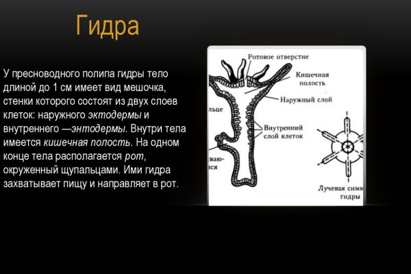 Кракен сайт 6