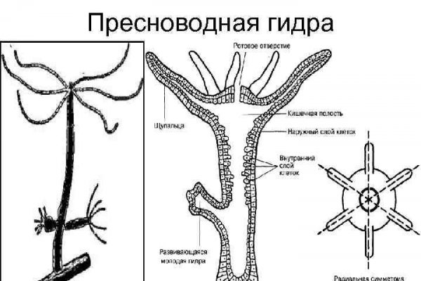 Кракен дарк vtor run