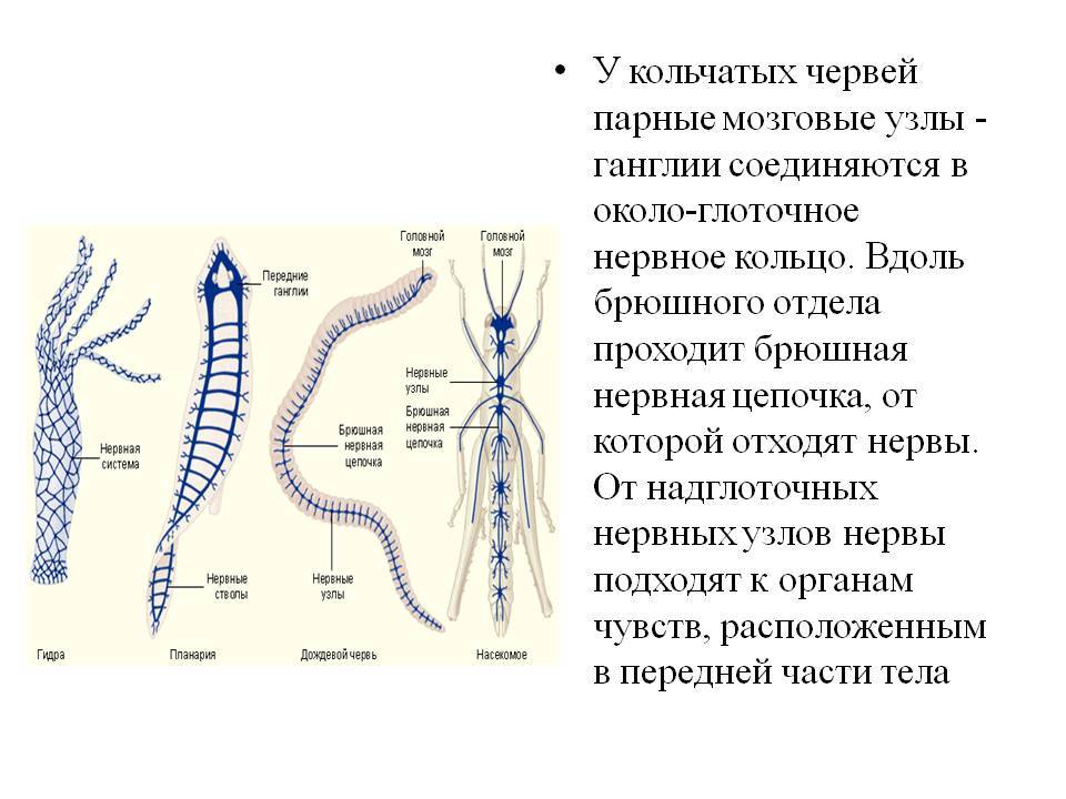 Сайт кракен онион ссылка